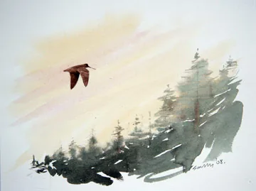Woodcock